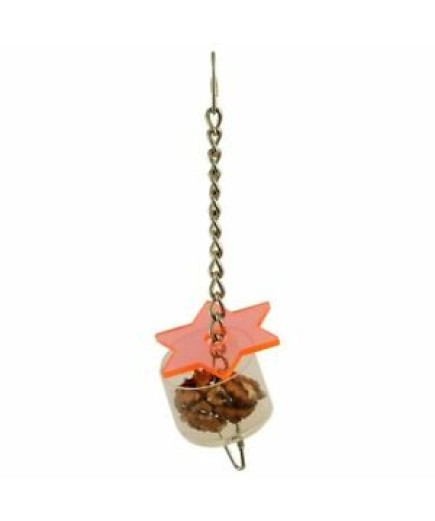 Super Star Parrot Foraging Toy